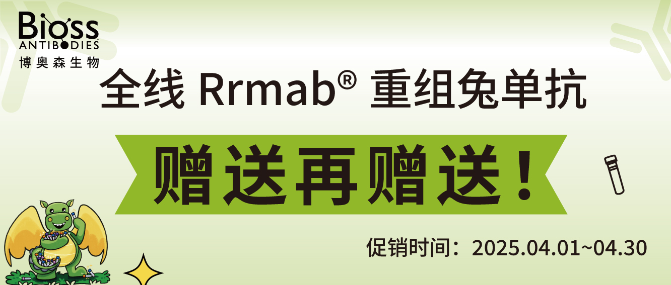 標(biāo)簽抗體
